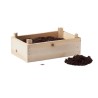 Kit Éco-responsable de Culture de Fraises dans une Cai - STRAWBERRY Matières : bois Couleurs : bois cadeau entreprise pas cher