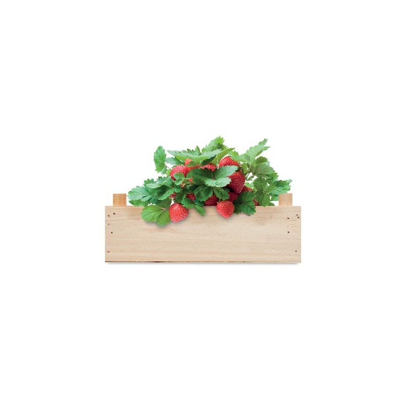 Kit Éco-responsable de Culture de Fraises dans une Cai - STRAWBERRY Matières : bois Couleurs : bois goodies publicitaire événeme