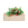 Kit Éco-responsable de Culture de Fraises dans une Cai - STRAWBERRY Matières : bois Couleurs : bois goodies publicitaire événeme