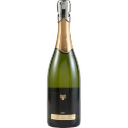 Bouchon à Champagne Pratique et Personnalisé - Catalina Matières : silicone Couleurs : argenté 2