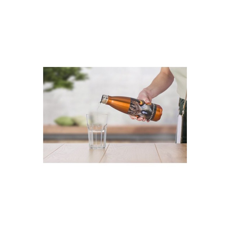 Gourde Acier Inoxydable 650 ml - Sumatra